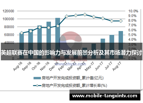 英超联赛在中国的影响力与发展前景分析及其市场潜力探讨